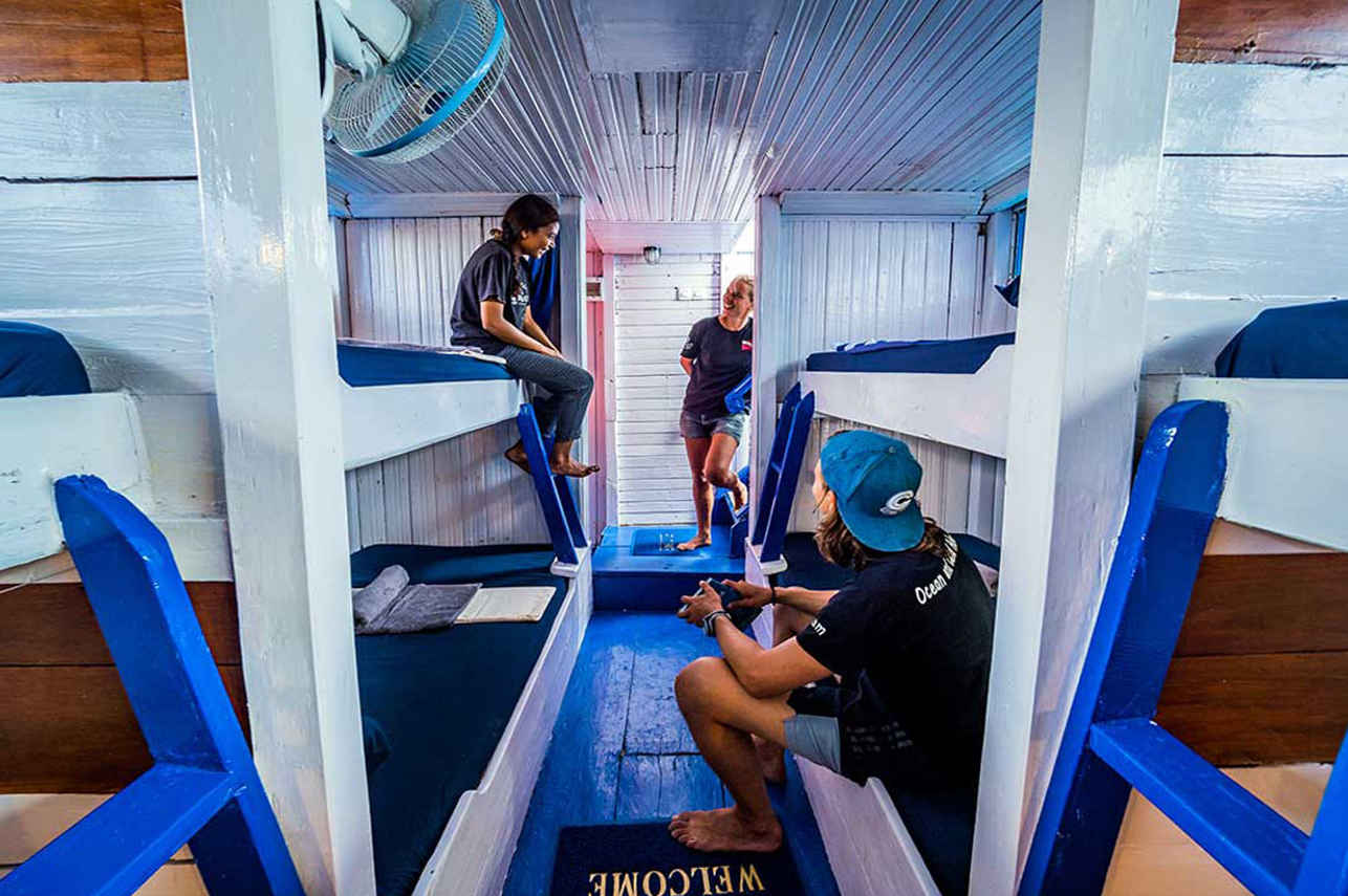 Cabine quadruple - Komodo Shalom