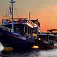 Komodo Shalom