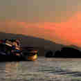 Komodo Shalom