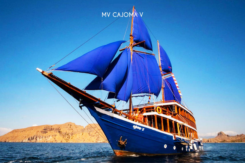 Cajoma V