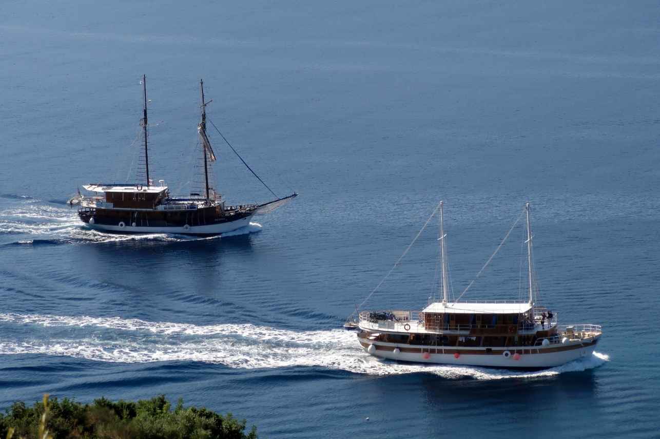 Katarina Line Premium Class