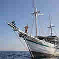 Royal Fortuna