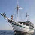 Royal Fortuna
