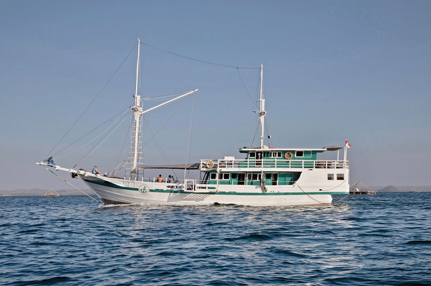 Royal Fortuna