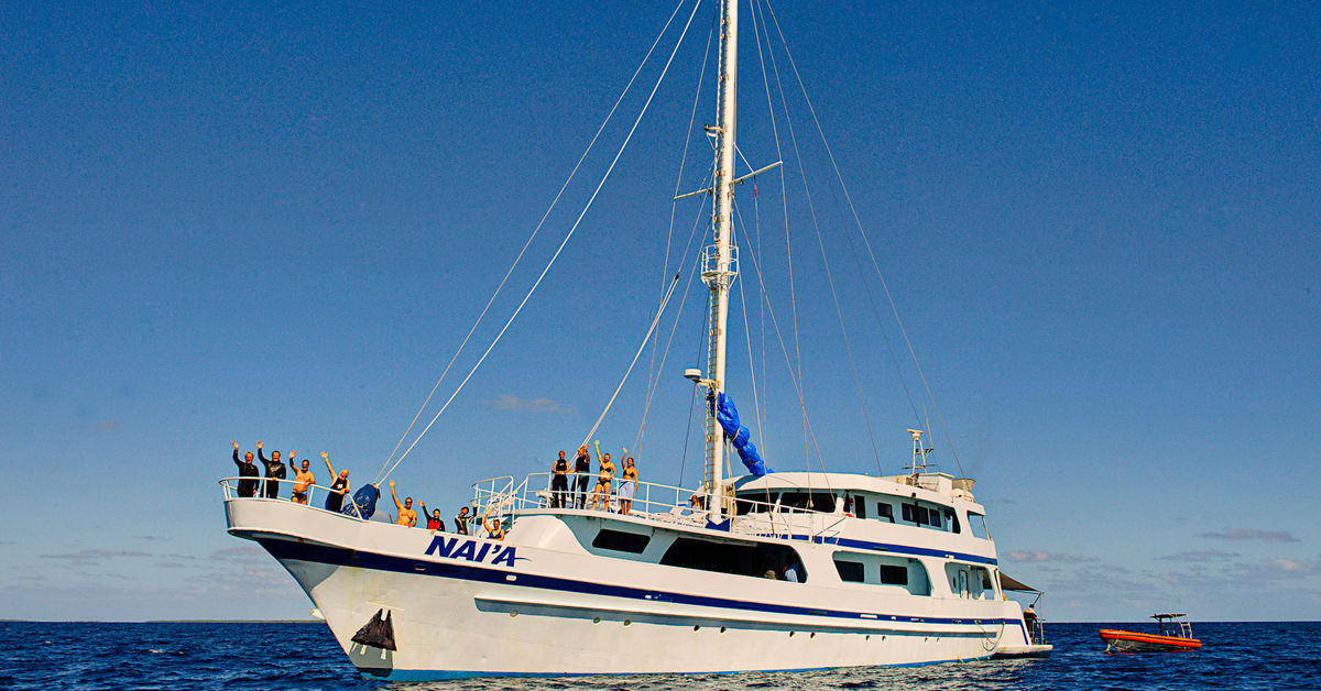 www.liveaboard.com