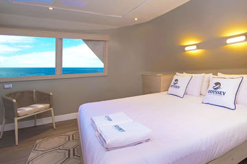 Ocean View Stateroom Double Cabins