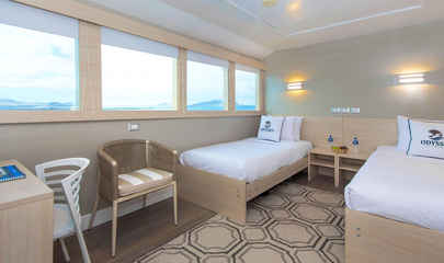 Ocean View Stateroom Twin Cabins
