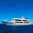 Galapagos Odyssey