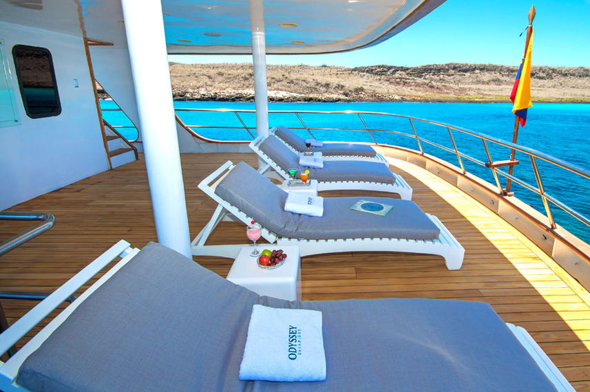 Terraza - Galapagos Odyssey
