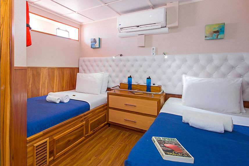 Twin Cabin - Blue Spirit