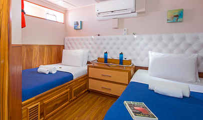 Lower Deck Single Cabins
