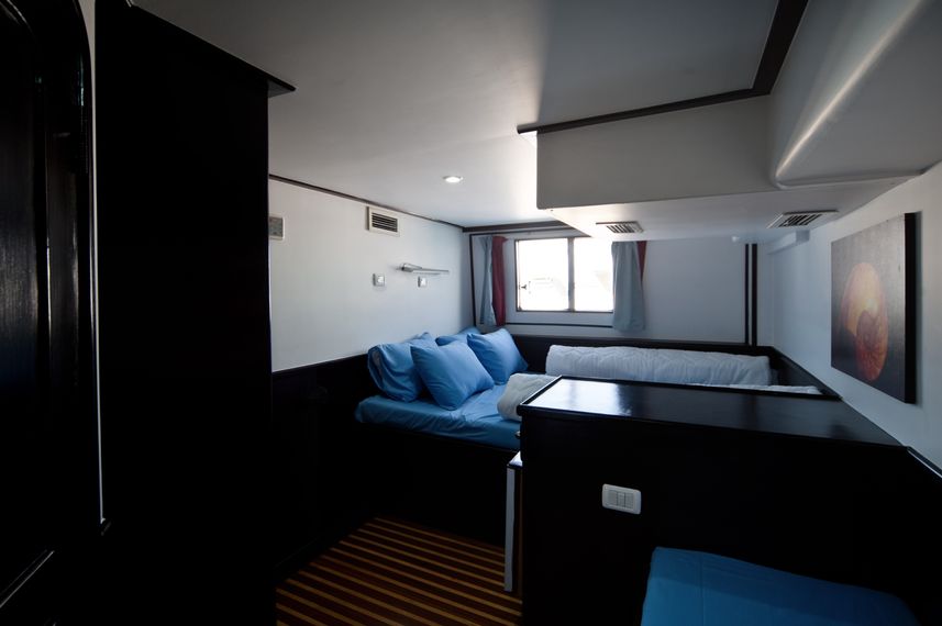 Double Cabin - Sea Echo 2