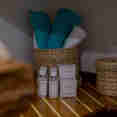 Toiletress