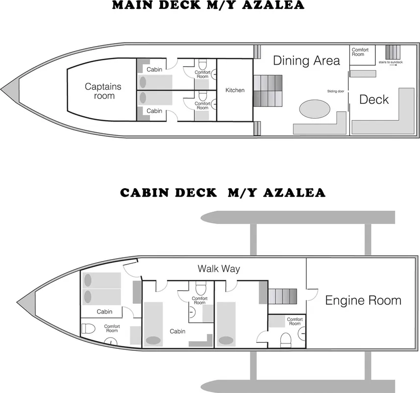 disposizione del ponte