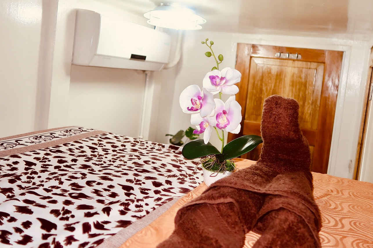 Lower Deck Cabin - Azalea