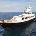 Nautilus Gallant Lady