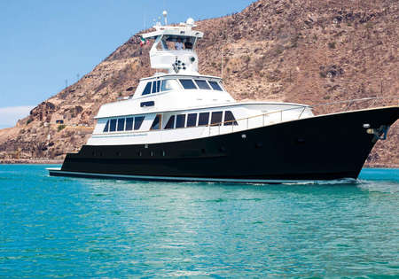 Nautilus Gallant Lady