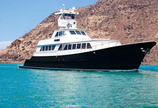 Nautilus Gallant Lady