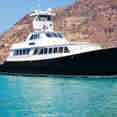 Nautilus Gallant Lady