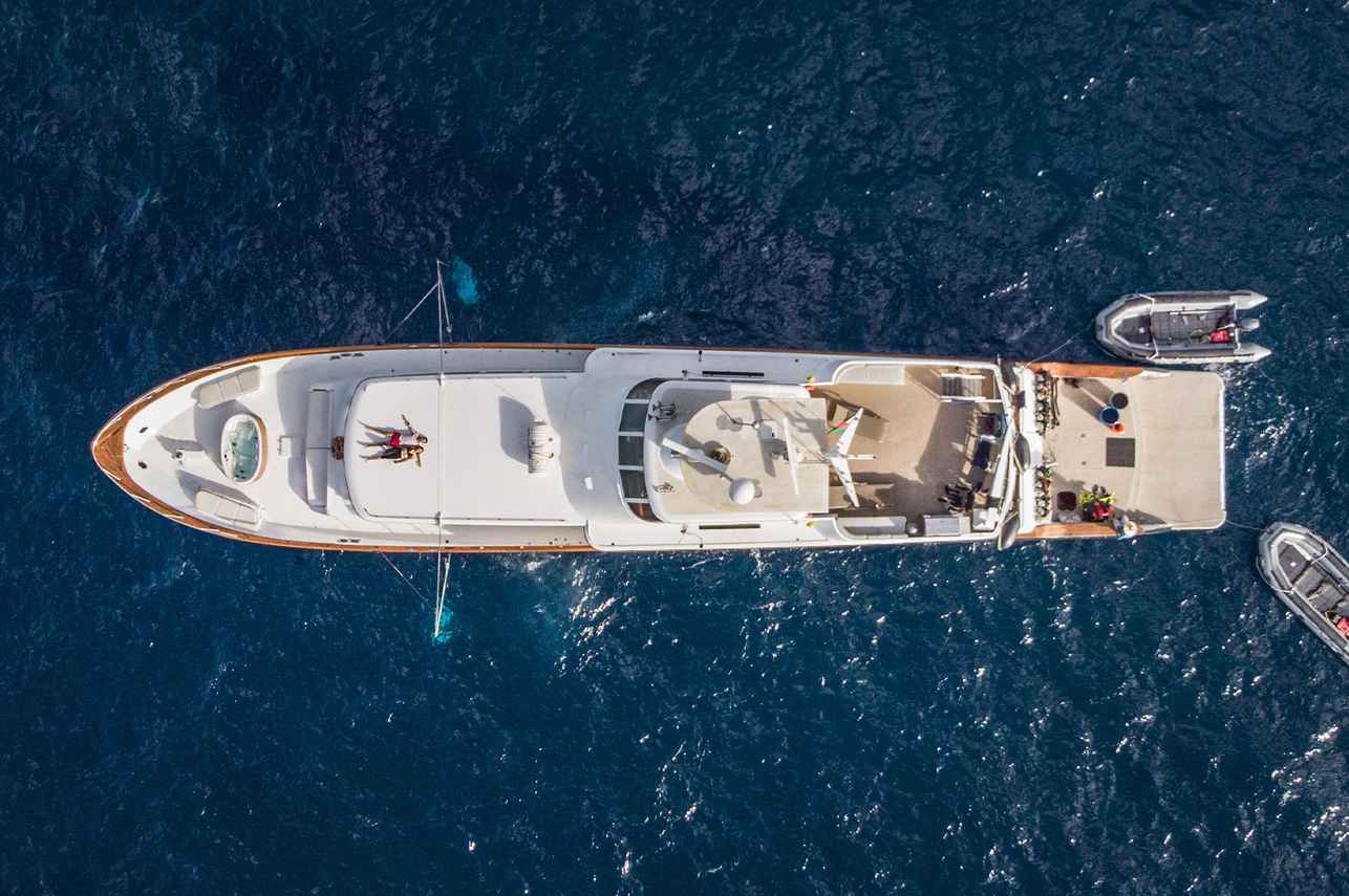 Nautilus Gallant Lady