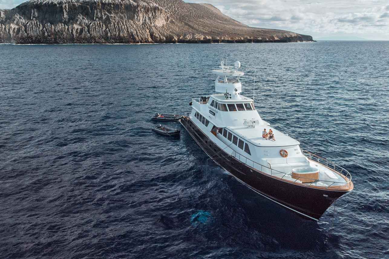 Nautilus Gallant Lady