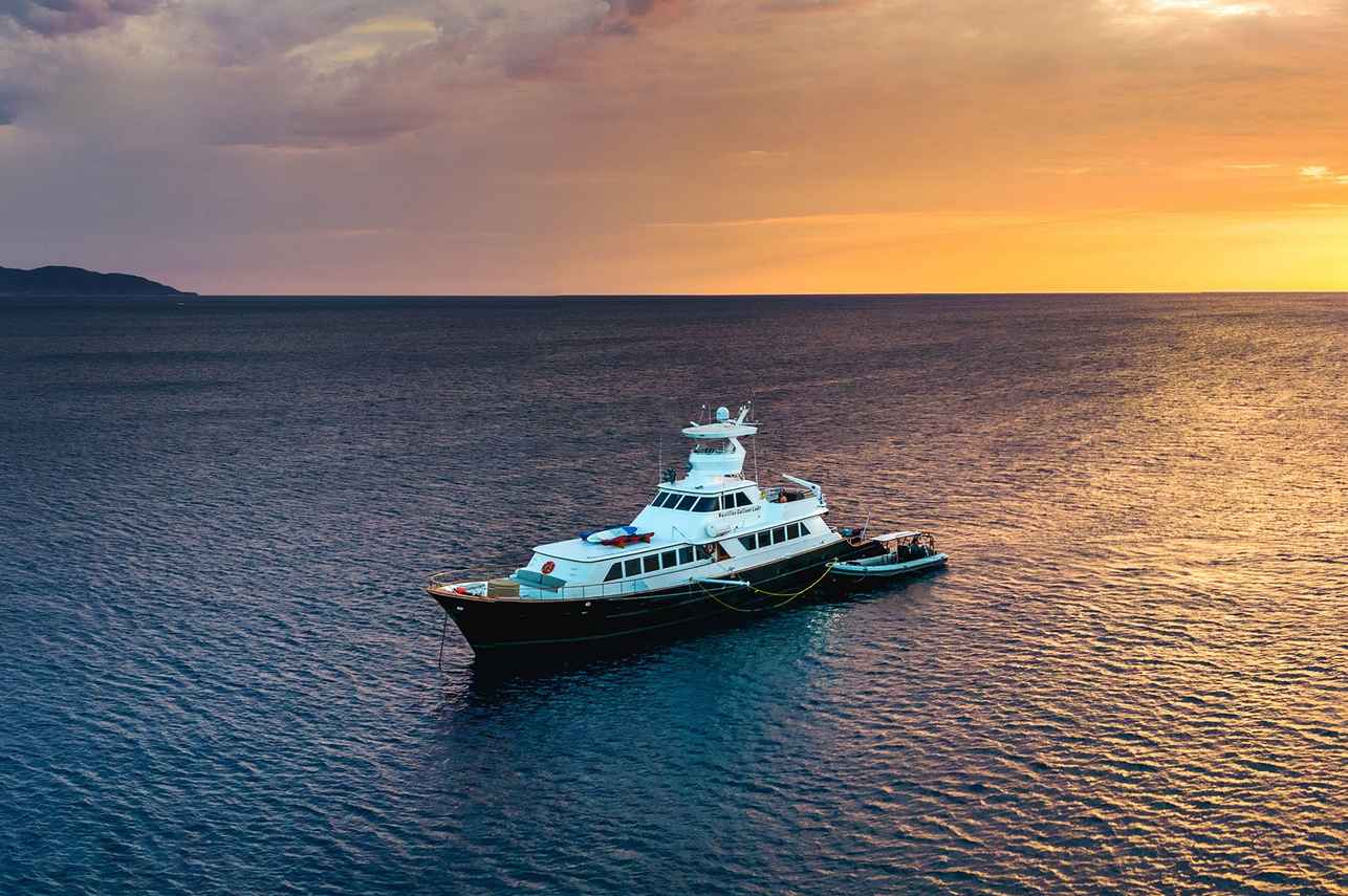 Nautilus Gallant Lady