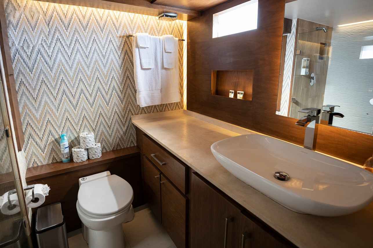 Nautilus Gallant Lady