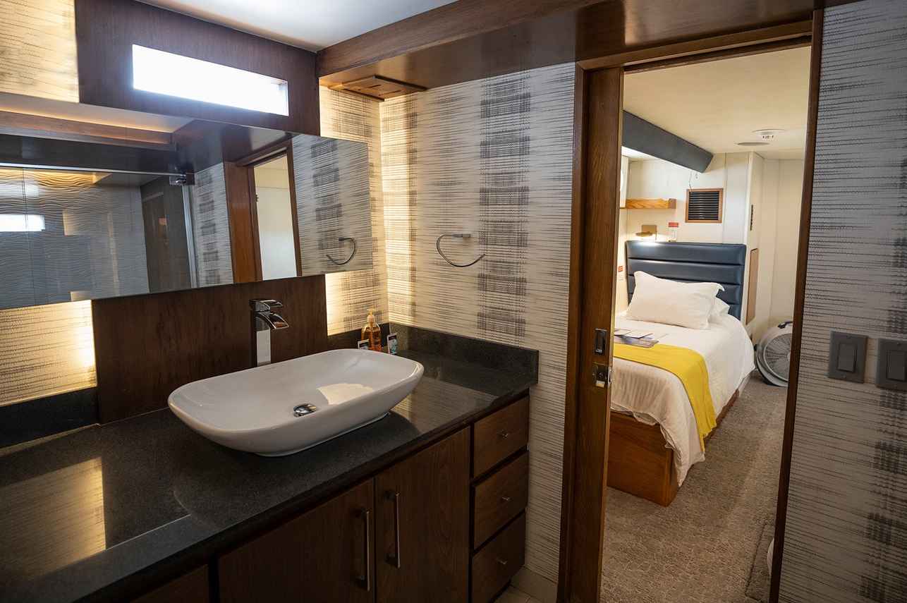 Nautilus Gallant Lady