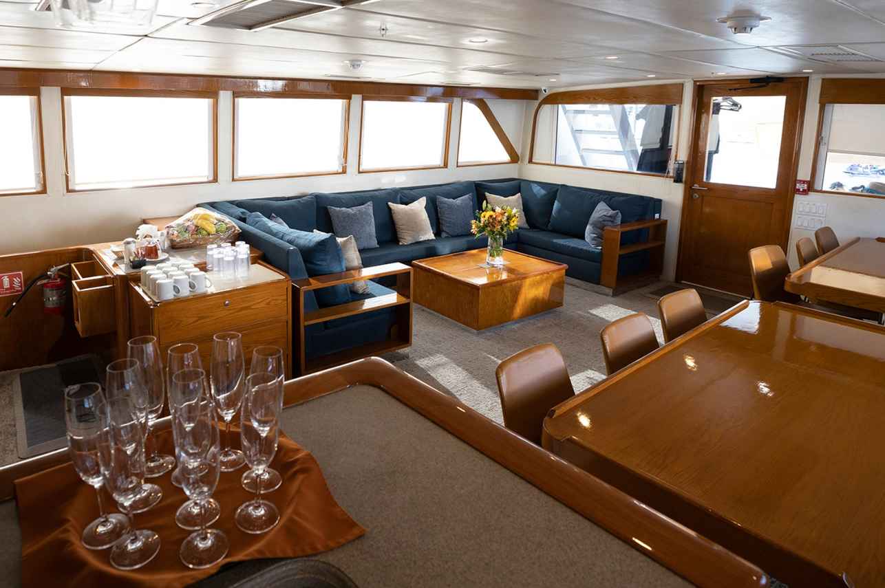 #indoorsaloon  - Nautilus Gallant Lady