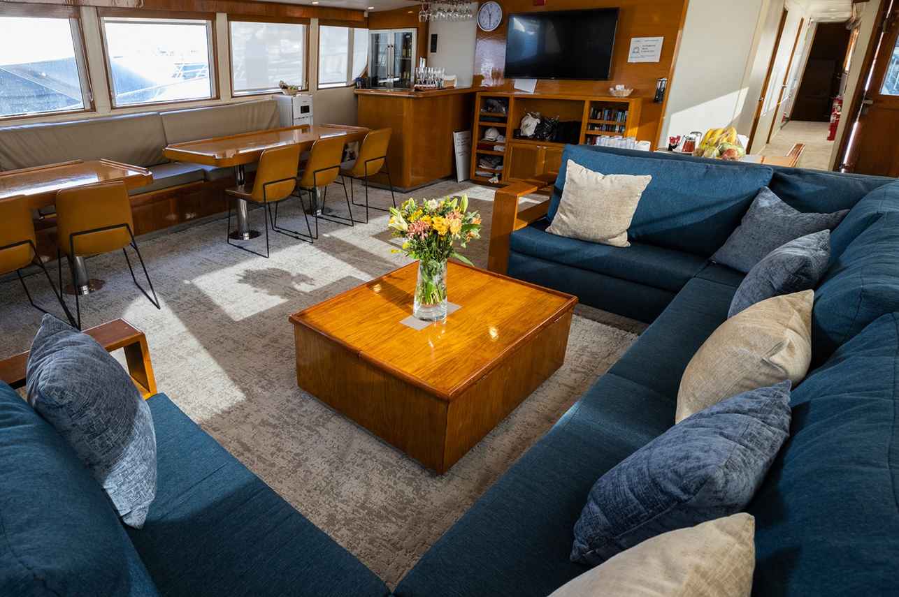 #indoorsaloon  - Nautilus Gallant Lady