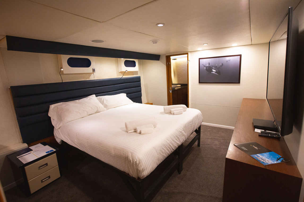 Premium Suite