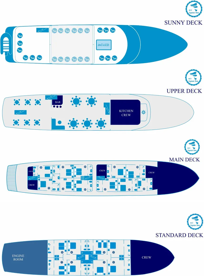 disposizione del ponte