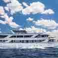 Captain Bota