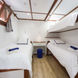 Main Deck Cabin - Splendid