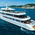 M/S Yolo