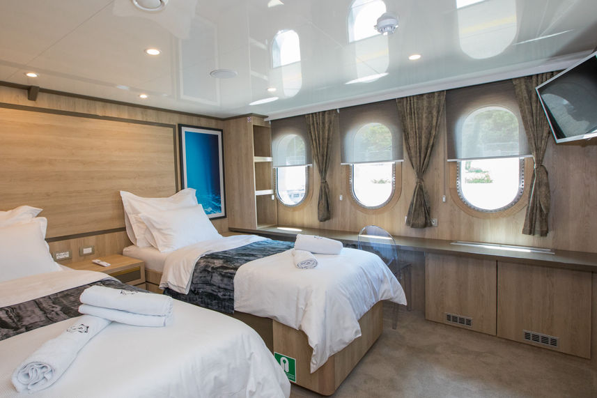 Main Deck Cabin - Agape Rose