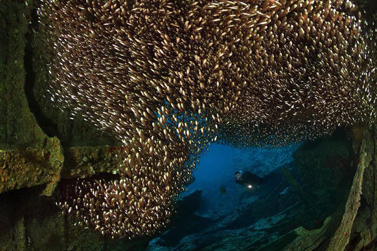 Wreck Dive - Egypt