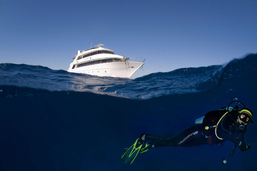 Snorkelling - Sunshine