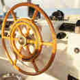 Wheel - Queen of Musandam