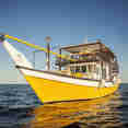 Queen of Musandam