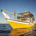 Queen of Musandam