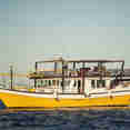 Queen of Musandam