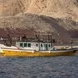 Queen of Musandam