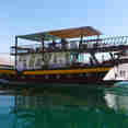 Brown Dhow