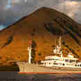 Salila