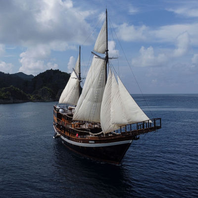 Coralia Liveaboard, Indonesia - LiveAboard.com