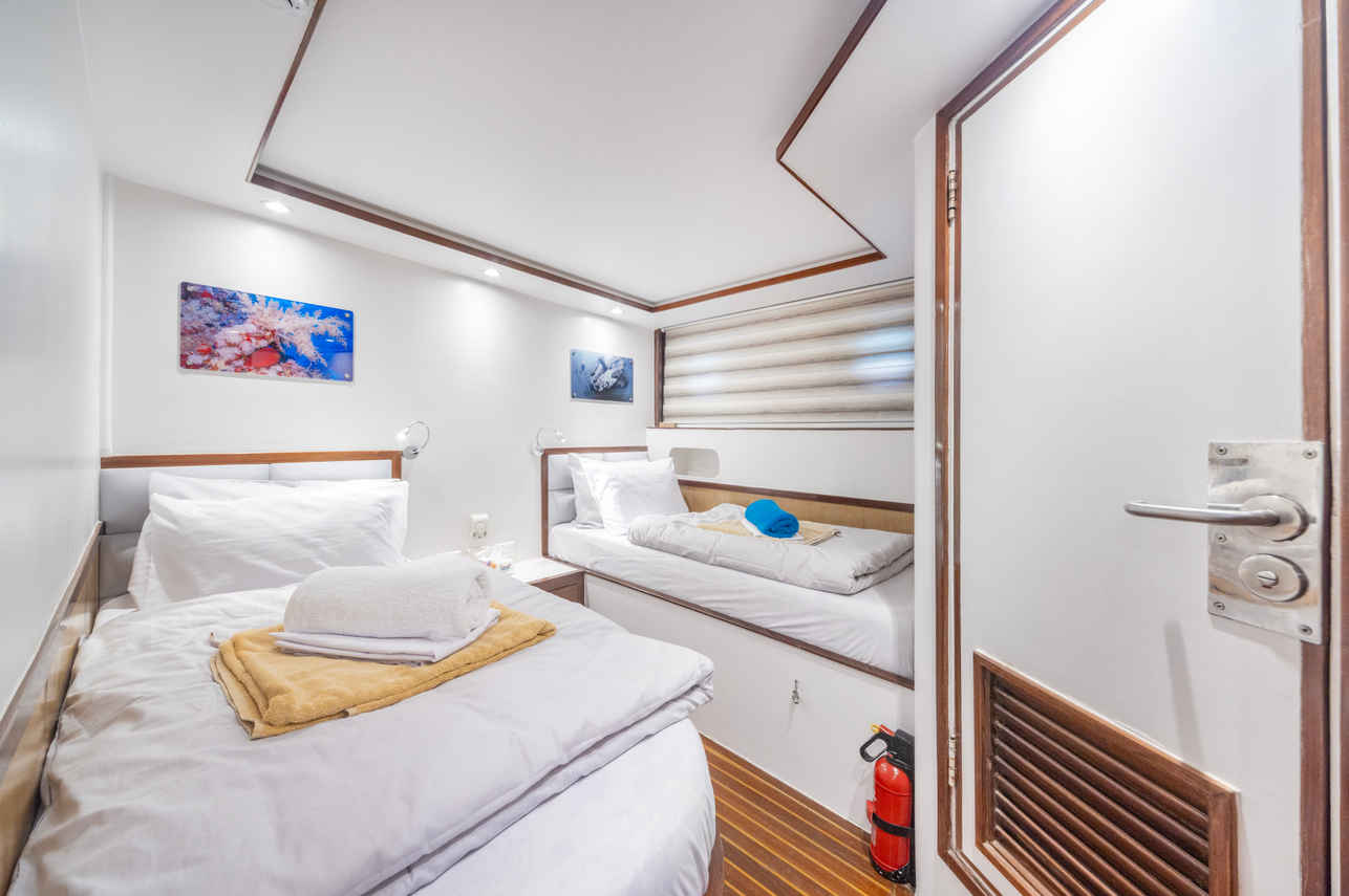 Cabine twin - Thunderbird