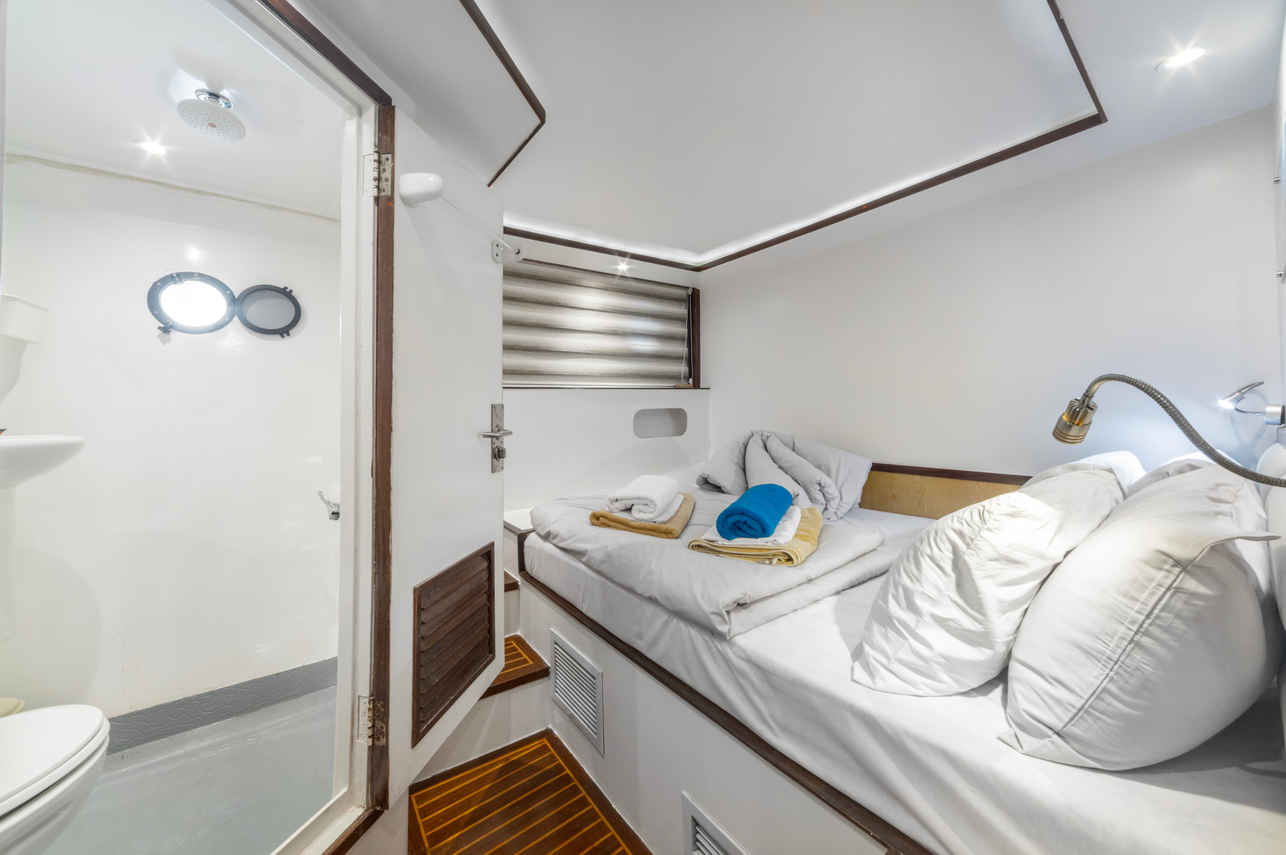 Cabine double - Thunderbird