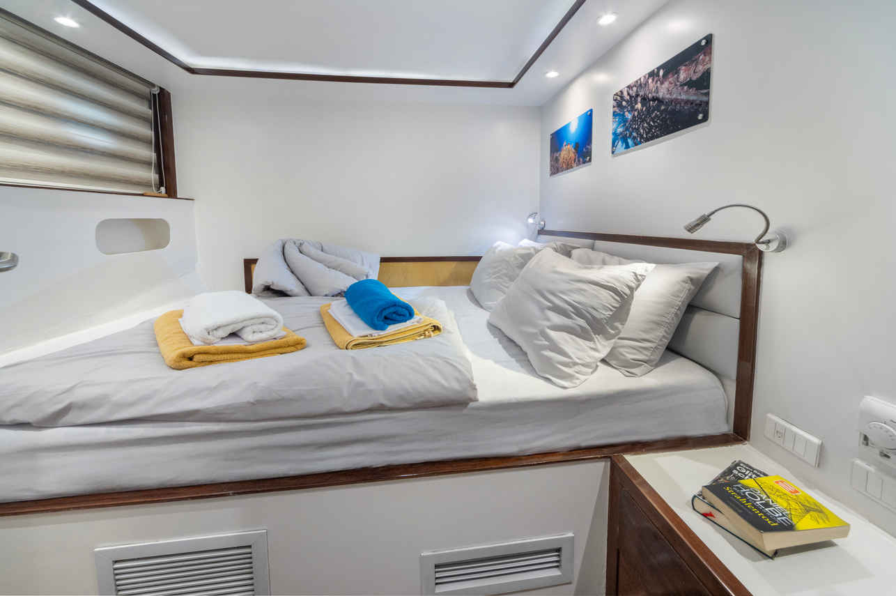 Cabine double - Thunderbird