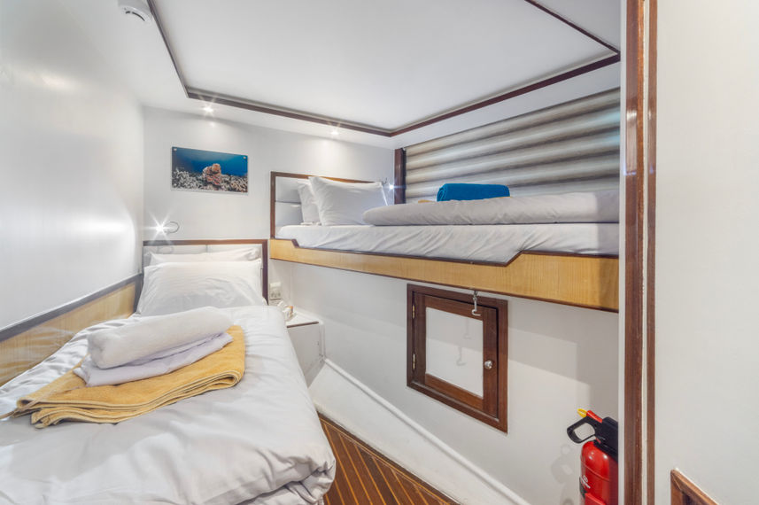 Bow Bunk Beds